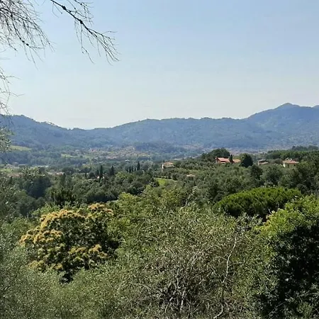 Collealceppo - Residenza Le Sorbe - Piscina Panoramica 13 Km Dal Mare * Montemagno (Lucca)