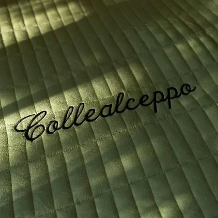 Collealceppo - Residenza Le Sorbe - Piscina Panoramica 13 Km Dal Mare * Montemagno (Lucca)