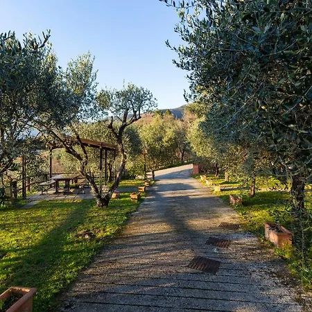 Collealceppo - Residenza Le Sorbe - Piscina Panoramica 13 Km Dal Mare Апартаменты Montemagno (Lucca)