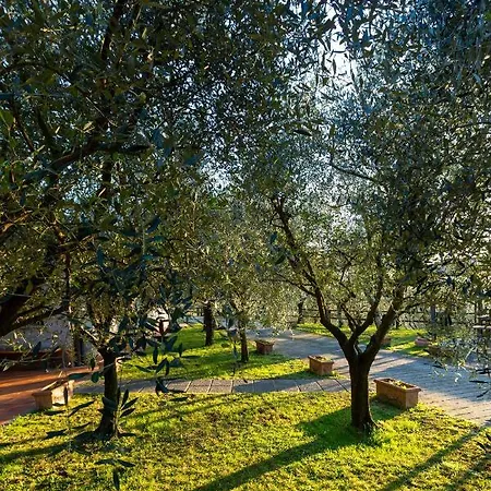 Collealceppo - Residenza Le Sorbe - Piscina Panoramica 13 Km Dal Mare Апартаменты
